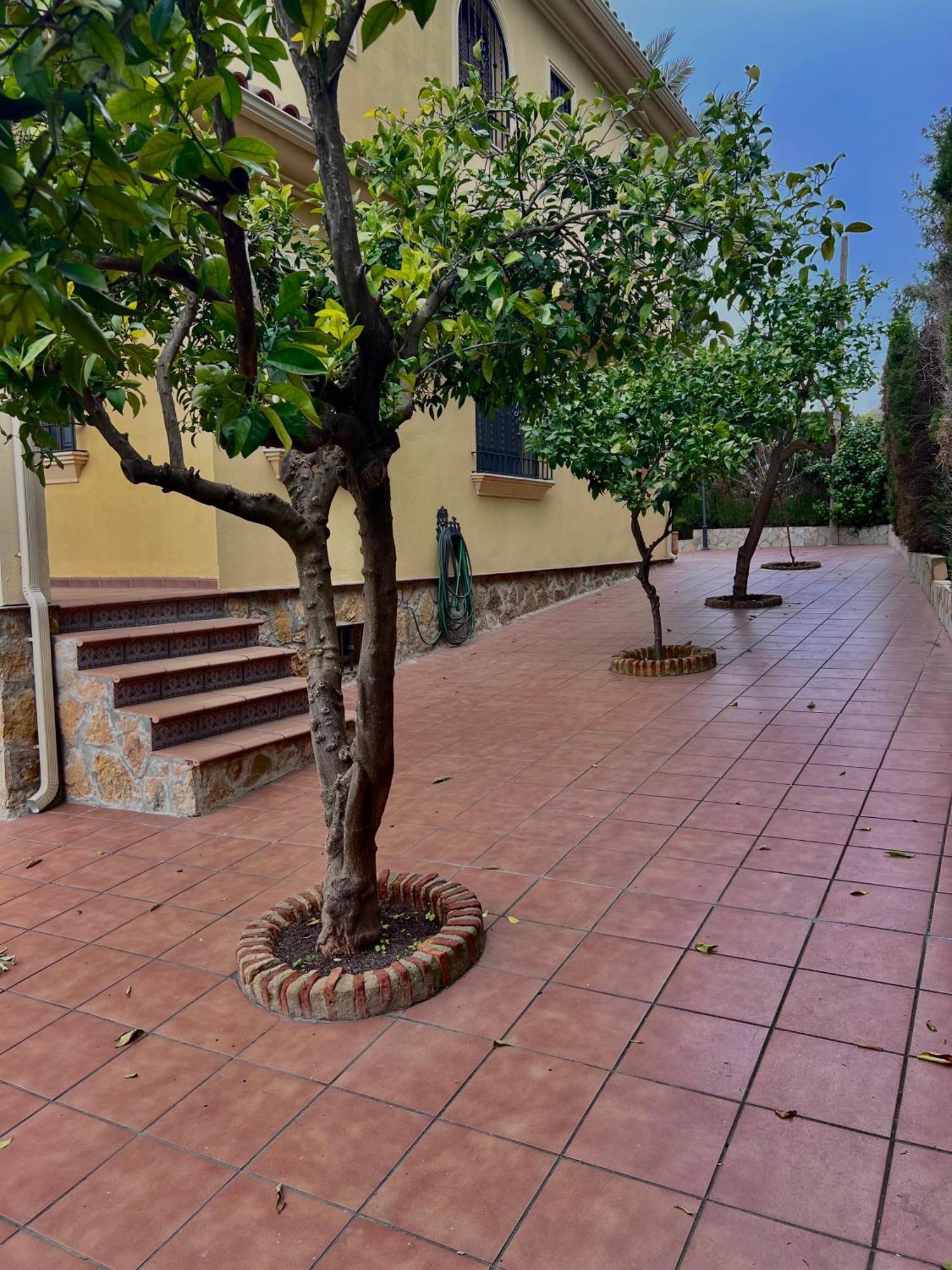 El Carmen Villa Кордоба Екстериор снимка